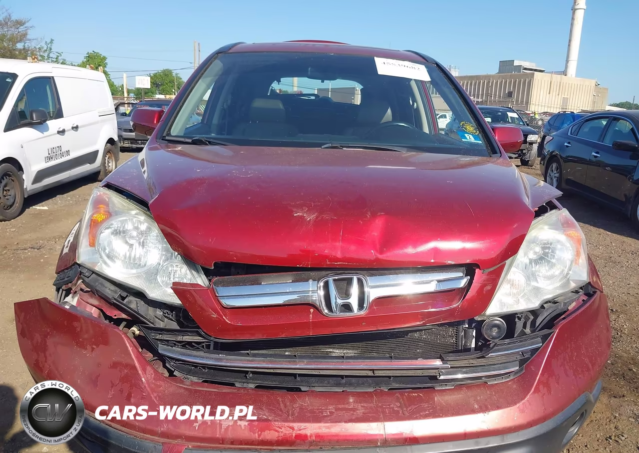 2009 Honda Cr-V Ex-L VIN:5J6RE387X9L019317 - 12