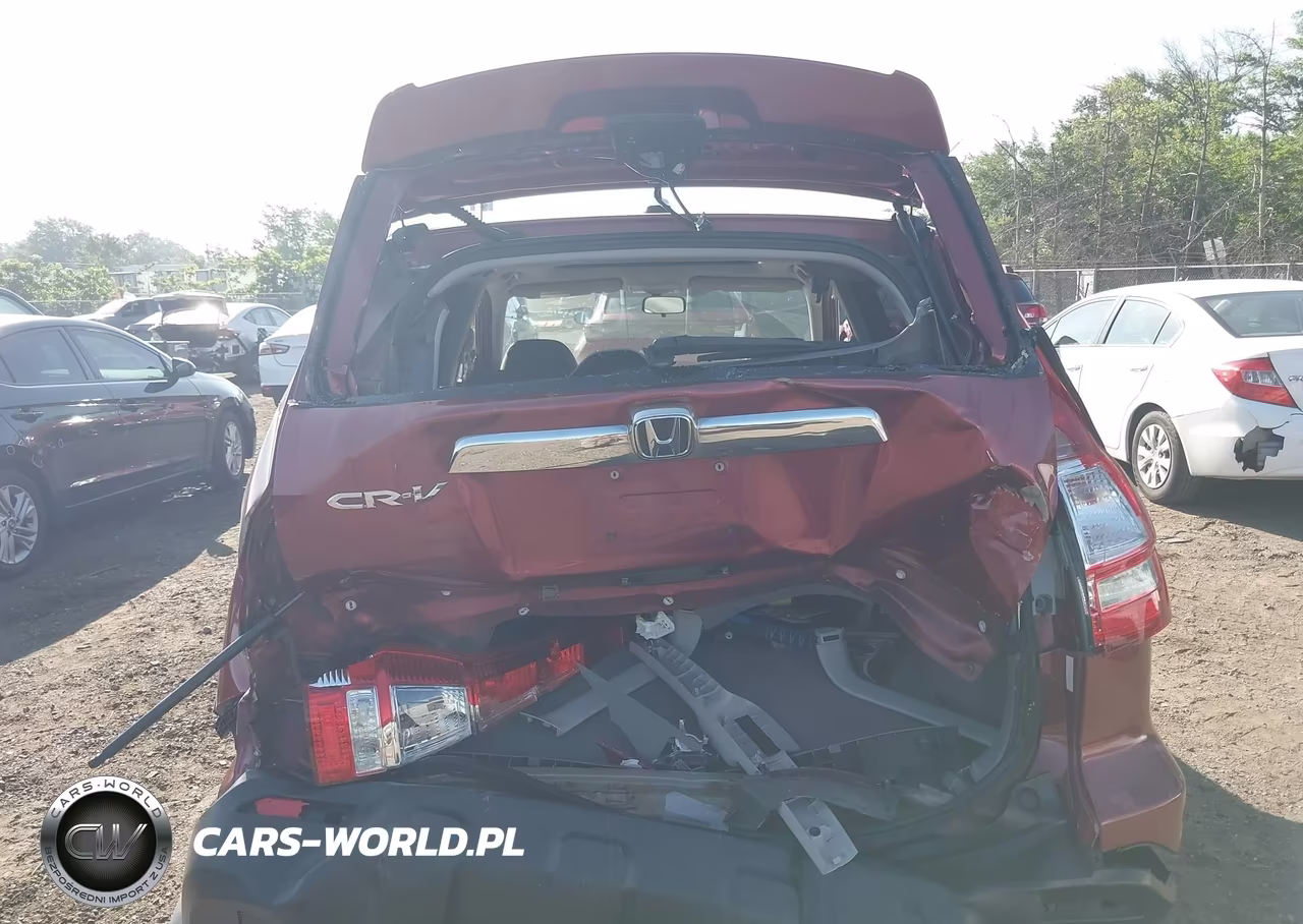 2009 Honda Cr-V Ex-L VIN:5J6RE387X9L019317 - 16