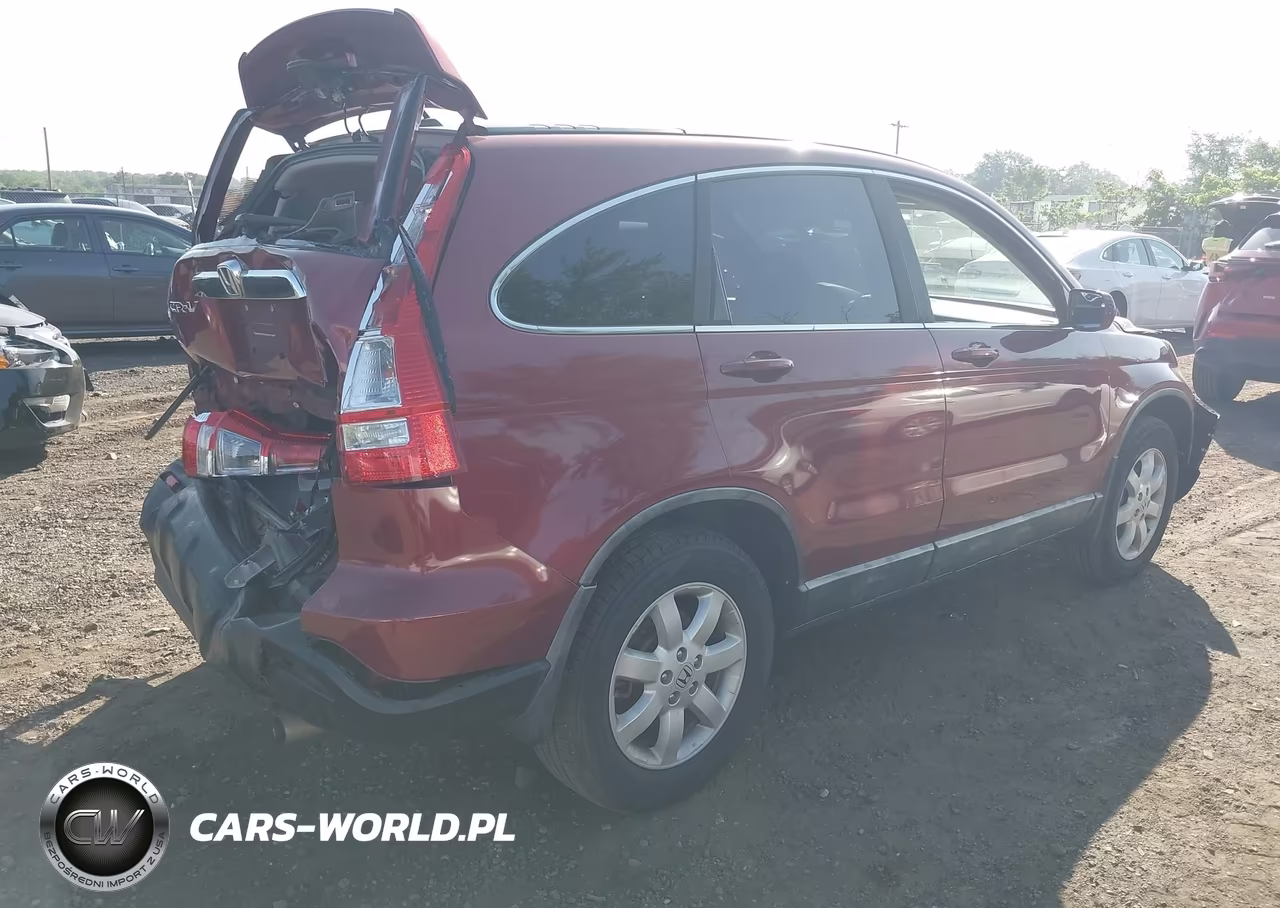 2009 Honda Cr-V Ex-L VIN:5J6RE387X9L019317 - 4