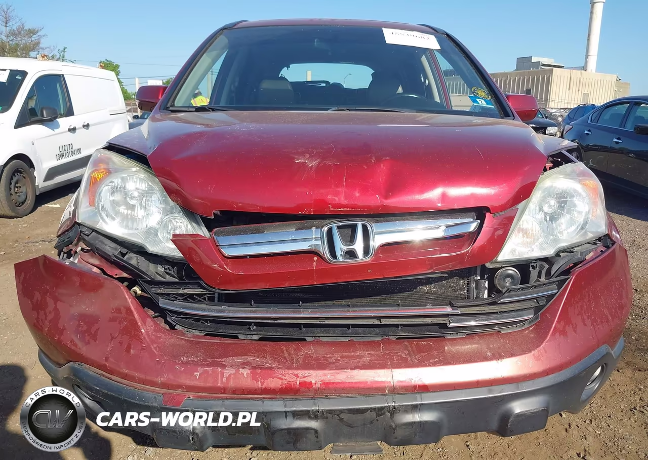 2009 Honda Cr-V Ex-L VIN:5J6RE387X9L019317 - 6