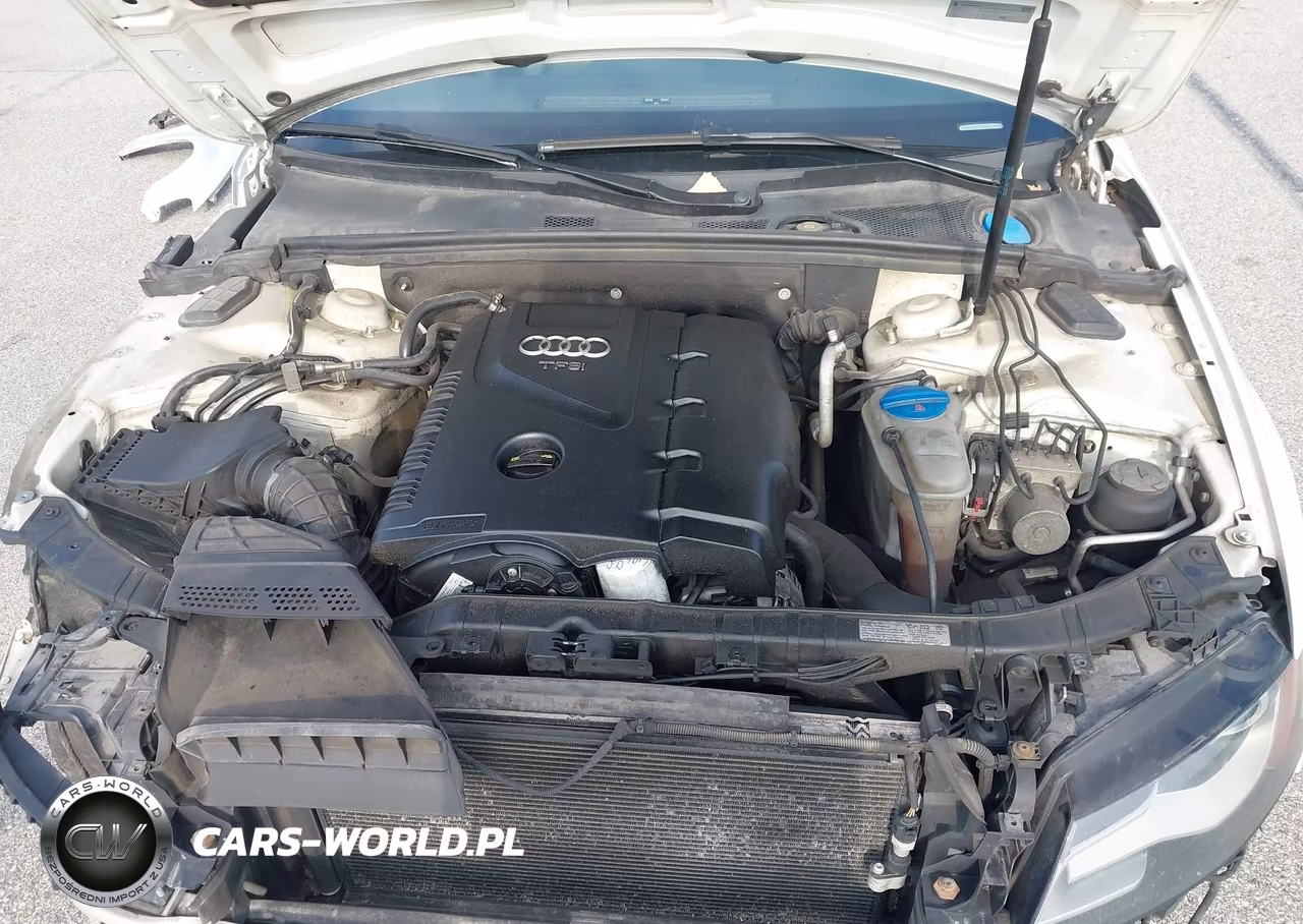 2012 Audi A4 2.0T Premium Plus VIN:WAUFFAFL3CN014382 - 10