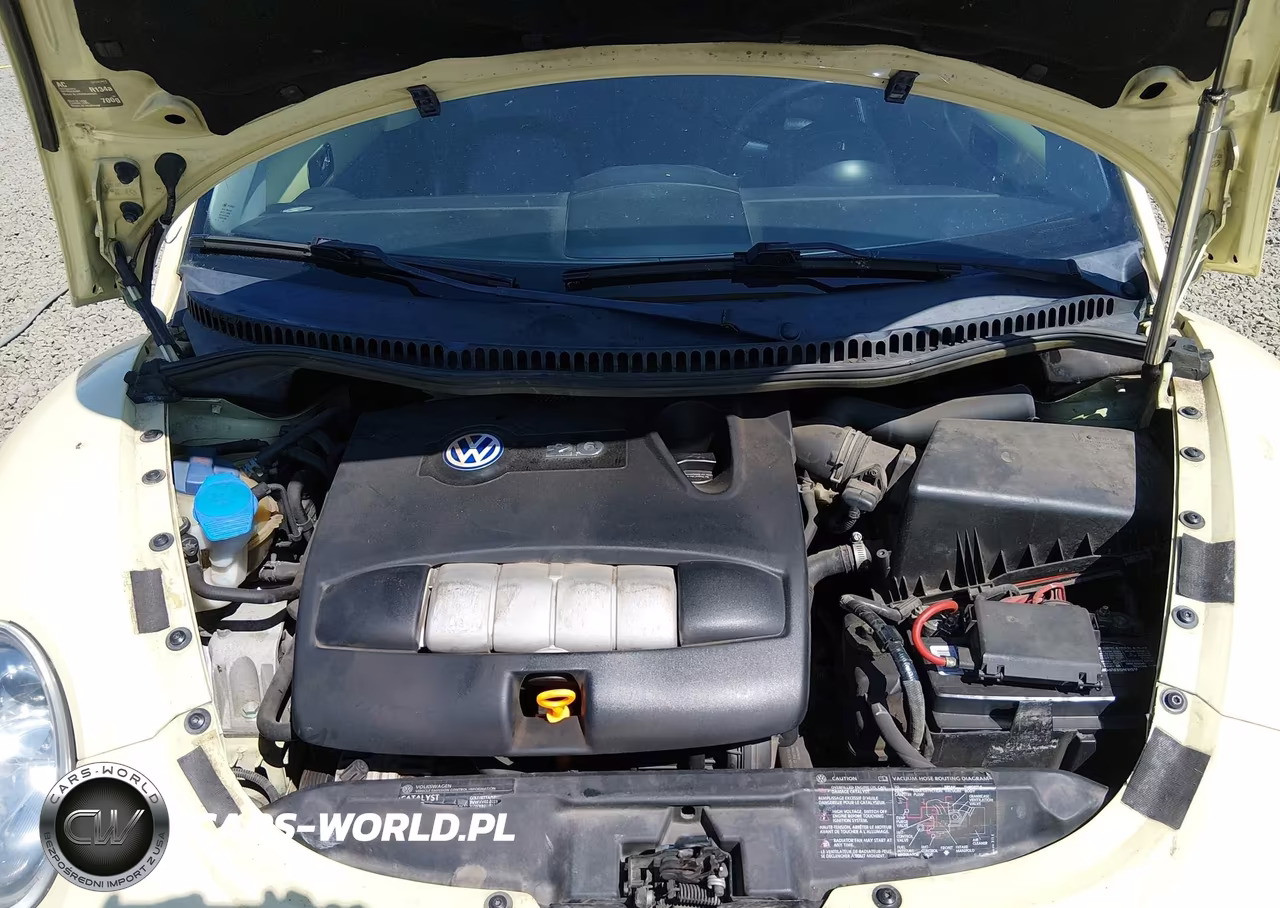 2003 Volkswagen New Beetle Gls VIN:3VWCK21Y63M301040 - 10