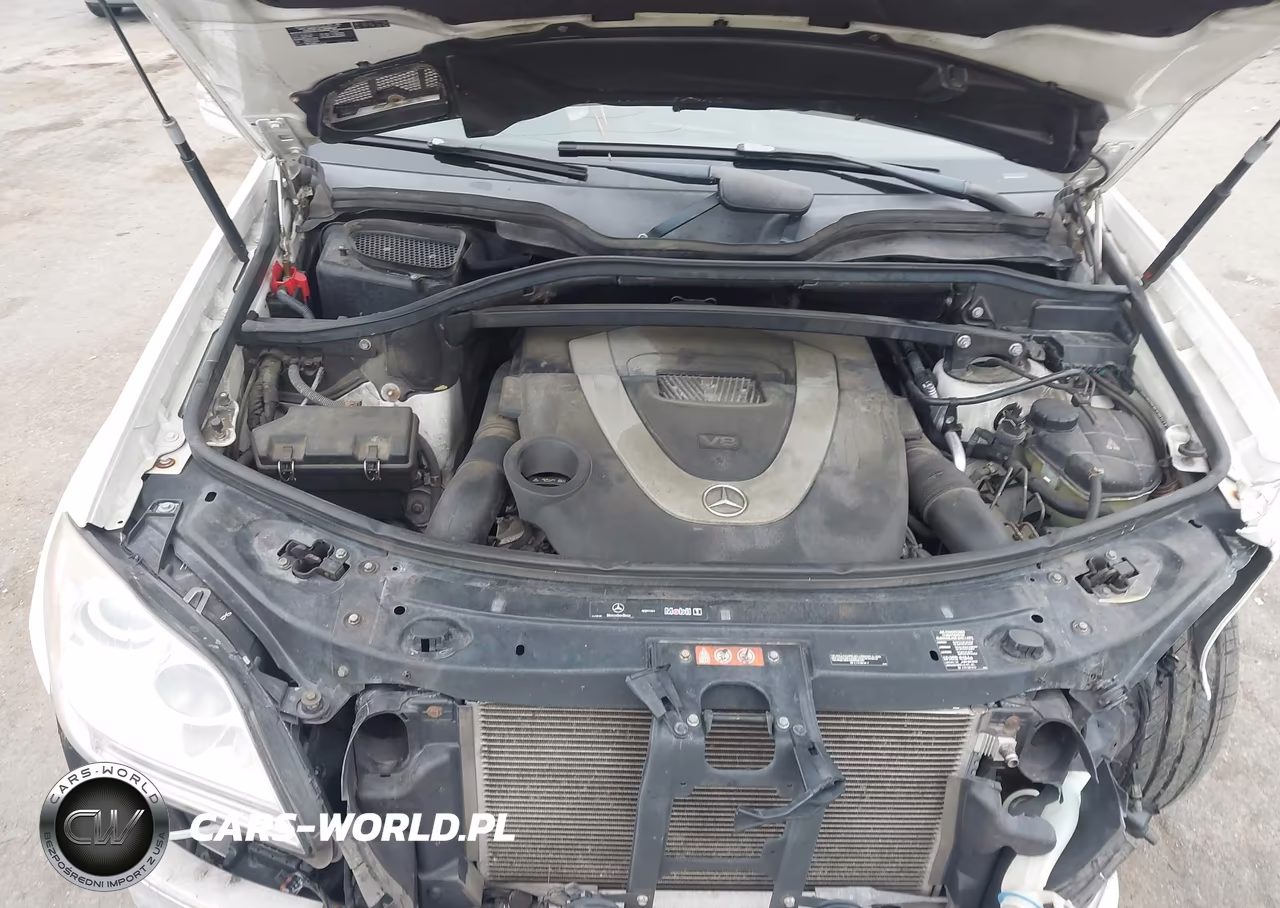 2008 Mercedes-Benz Gl-Class 4.6L VIN:4JGBF71E38A418354 - 10
