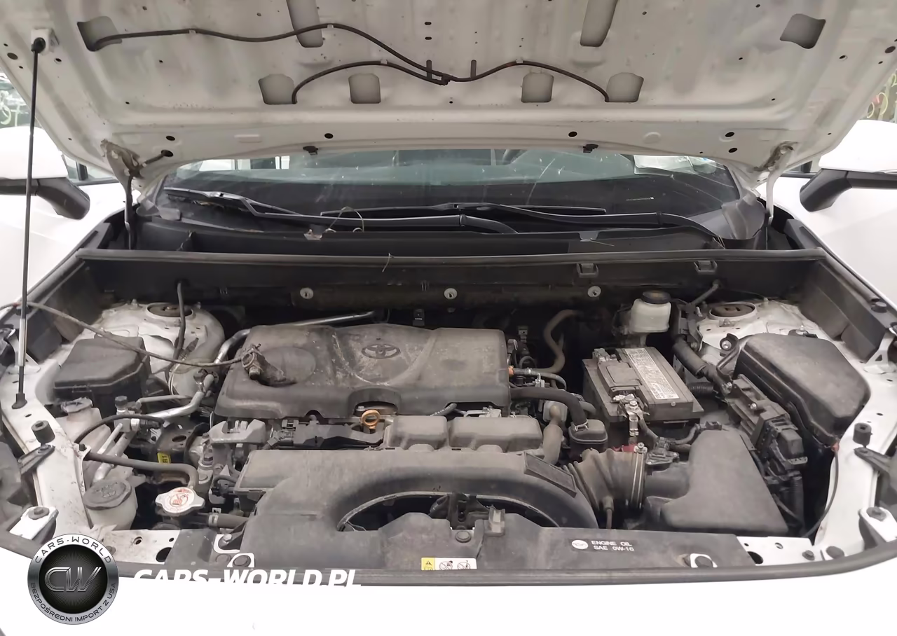 2019 Toyota Rav4 Xle Premium VIN:2T3C1RFV8KC026766 - 10