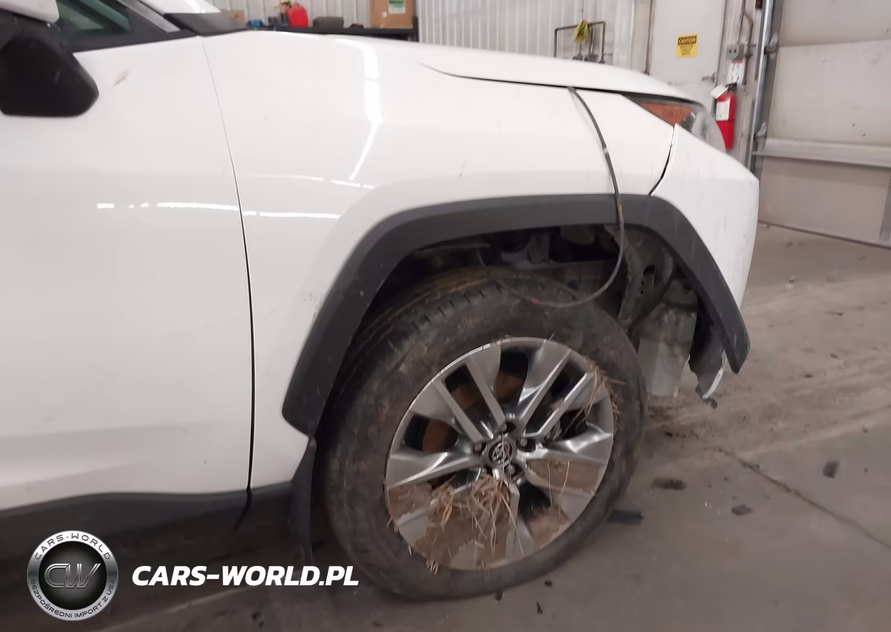 2019 Toyota Rav4 Xle Premium VIN:2T3C1RFV8KC026766 - 6