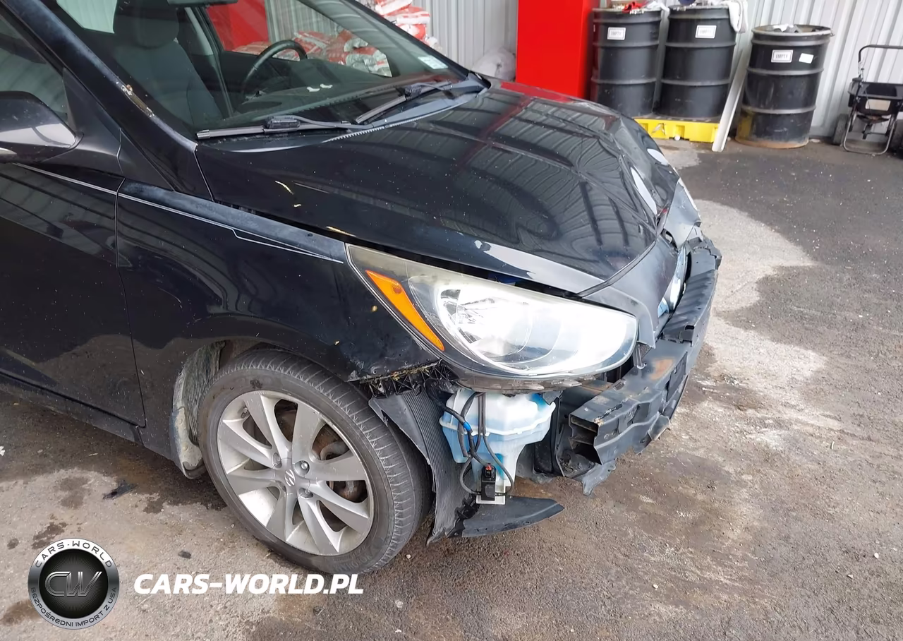 2013 Hyundai Accent Se VIN:KMHCU5AEXDU100643 - 13