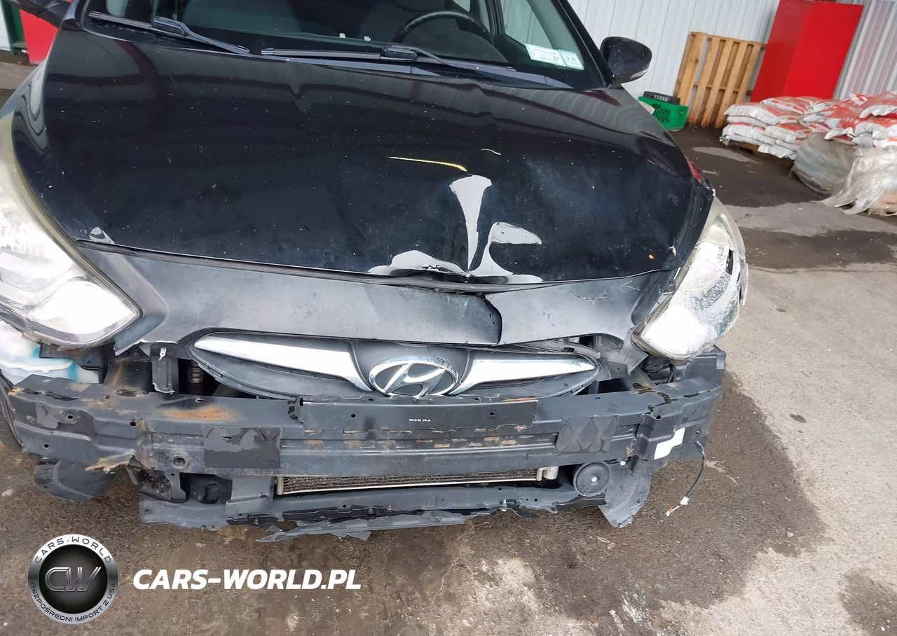 2013 Hyundai Accent Se VIN:KMHCU5AEXDU100643 - 14