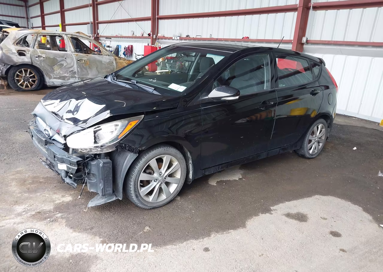 2013 Hyundai Accent Se VIN:KMHCU5AEXDU100643 - 2