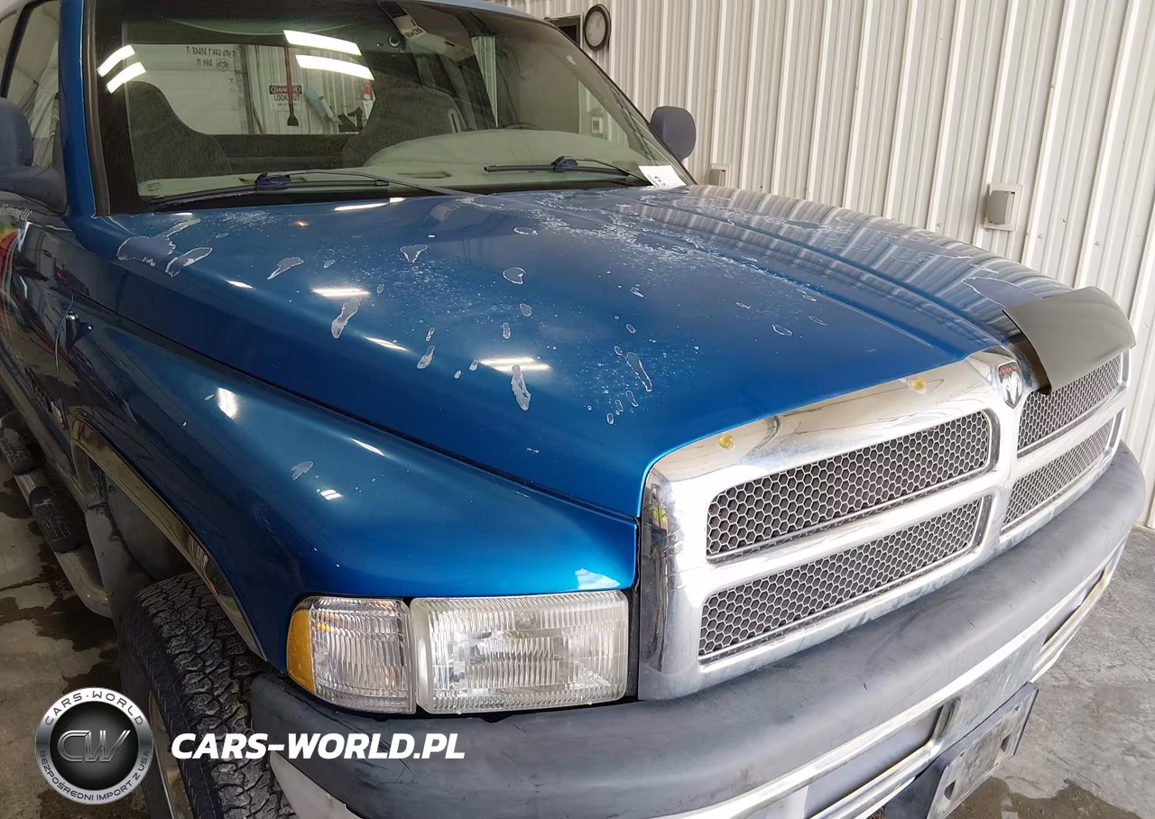 1999 Dodge Ram 1500 St VIN:3B7HF13Z4XG109956 - 6