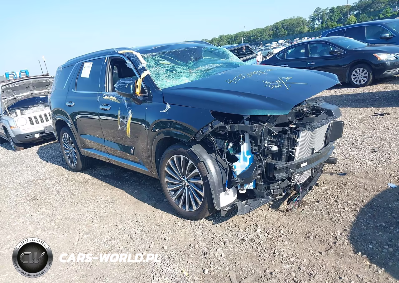 2025 Hyundai Palisade Calligraphy VIN:KM8R7DGE1SU882802 - 1