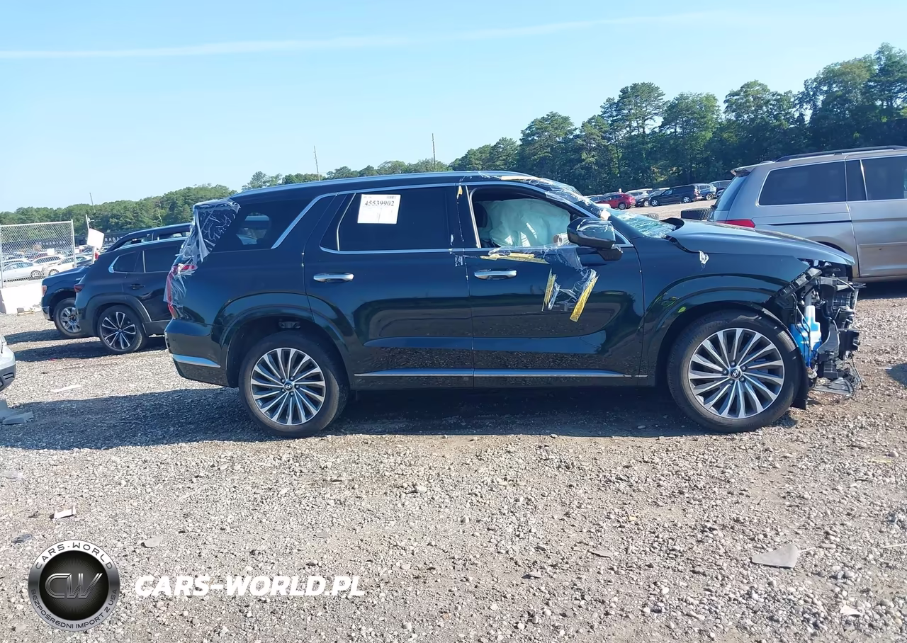 2025 Hyundai Palisade Calligraphy VIN:KM8R7DGE1SU882802 - 12
