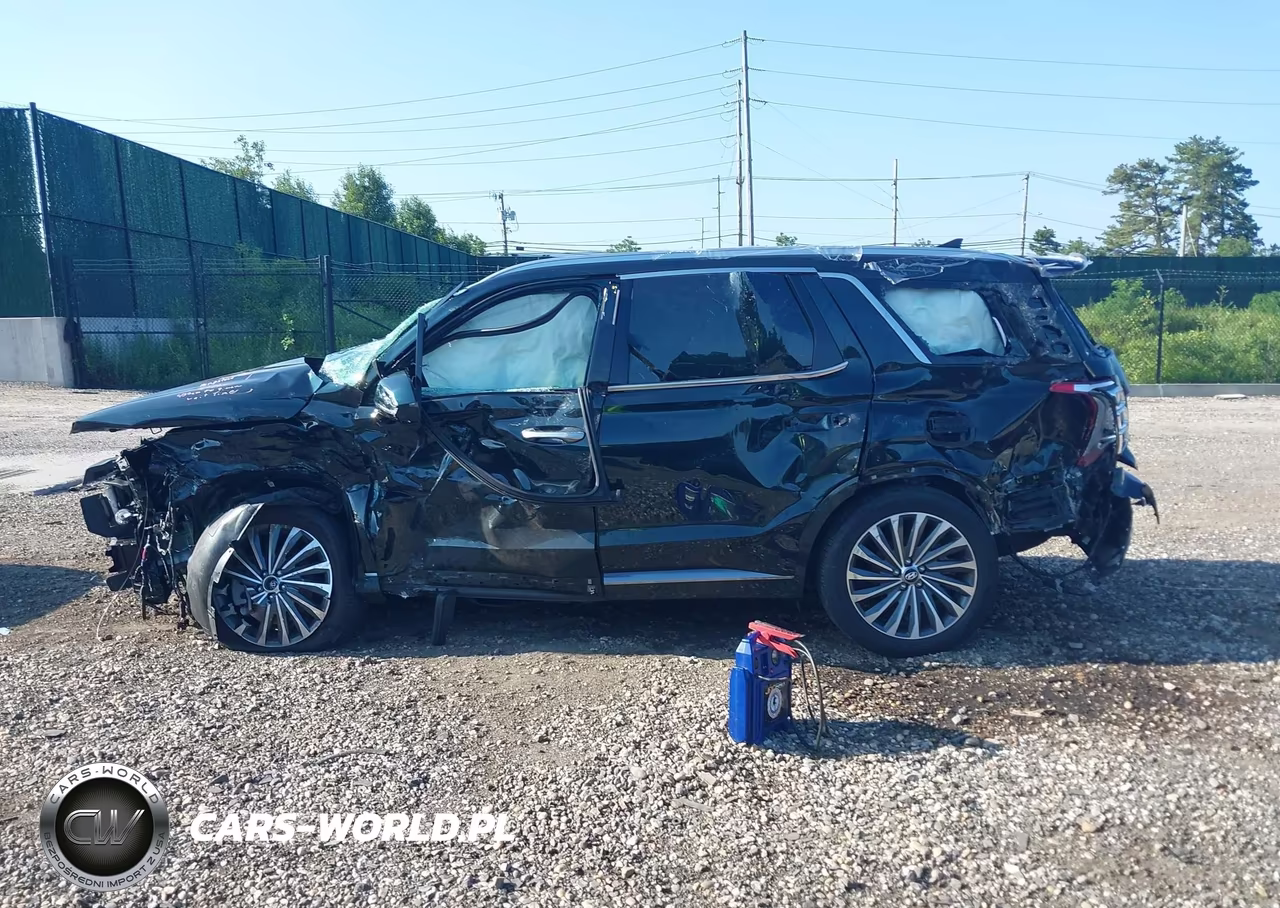 2025 Hyundai Palisade Calligraphy VIN:KM8R7DGE1SU882802 - 13