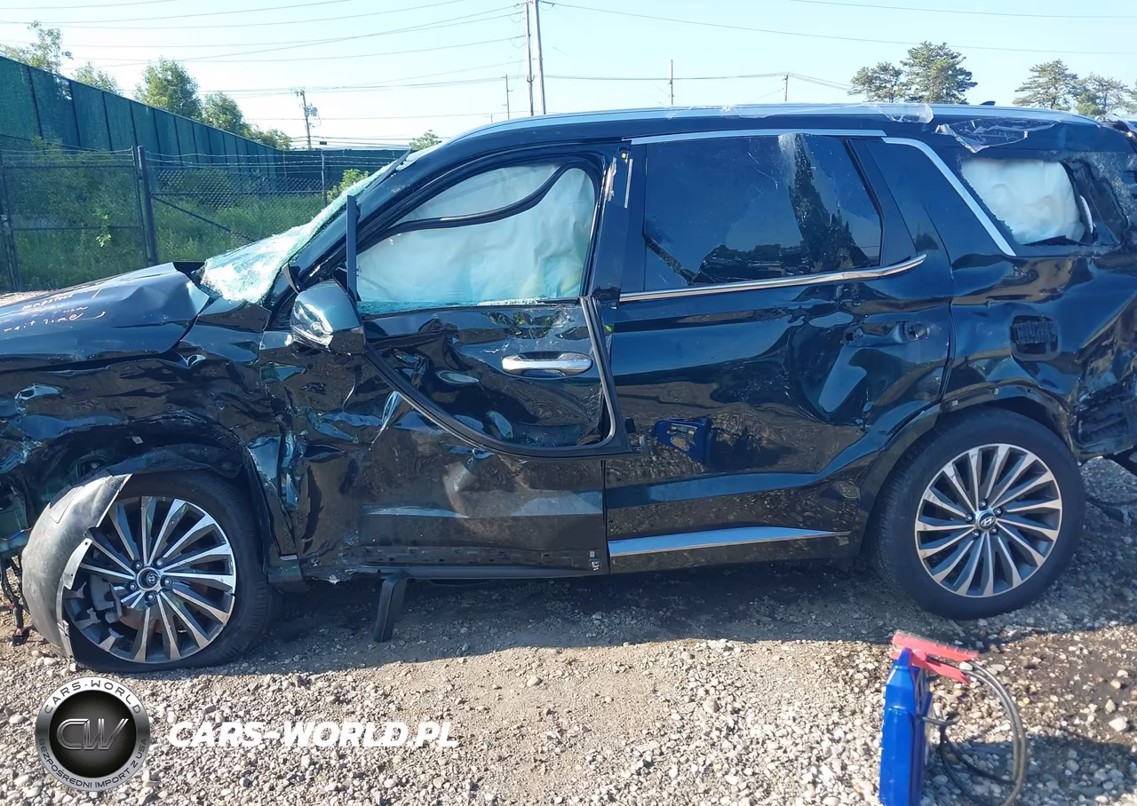 2025 Hyundai Palisade Calligraphy VIN:KM8R7DGE1SU882802 - 16
