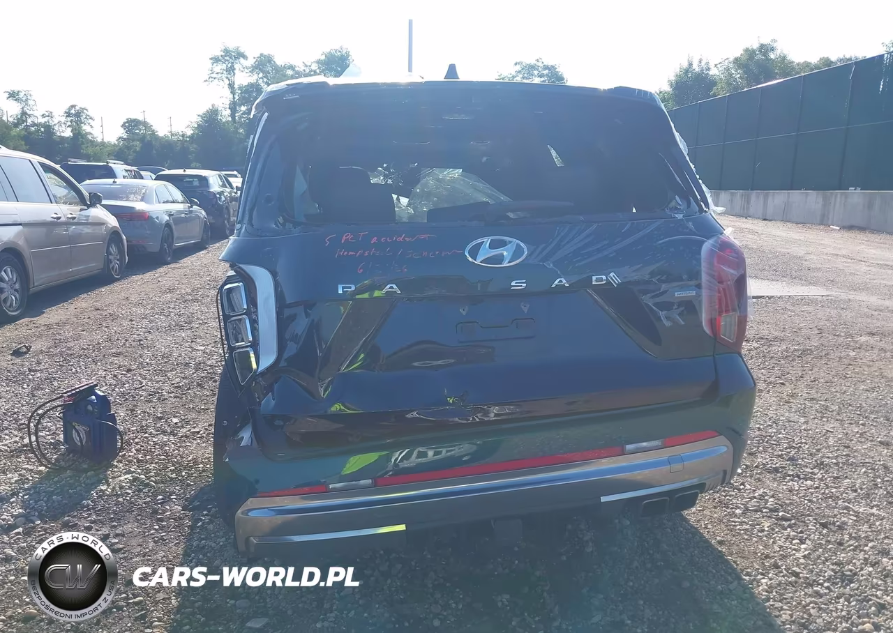 2025 Hyundai Palisade Calligraphy VIN:KM8R7DGE1SU882802 - 17