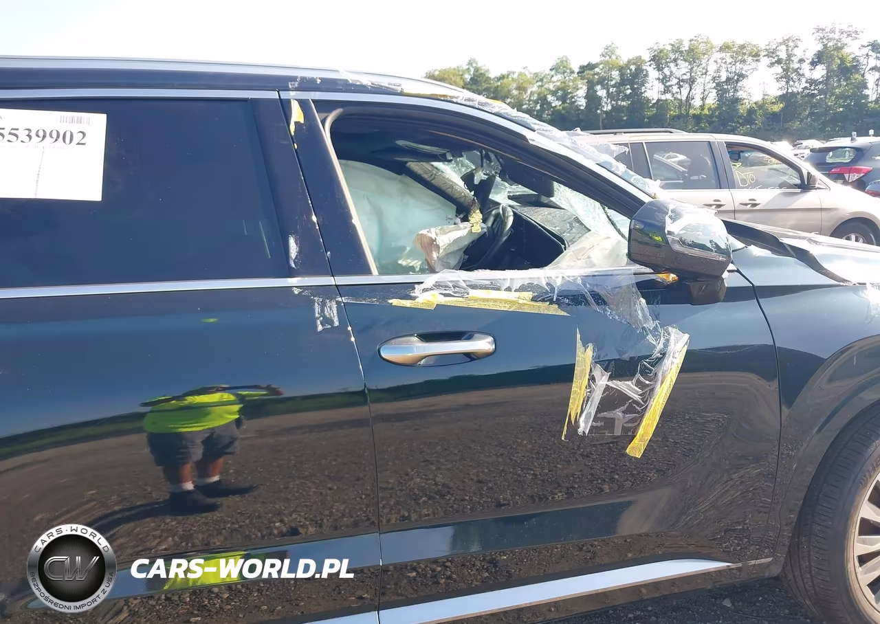 2025 Hyundai Palisade Calligraphy VIN:KM8R7DGE1SU882802 - 18