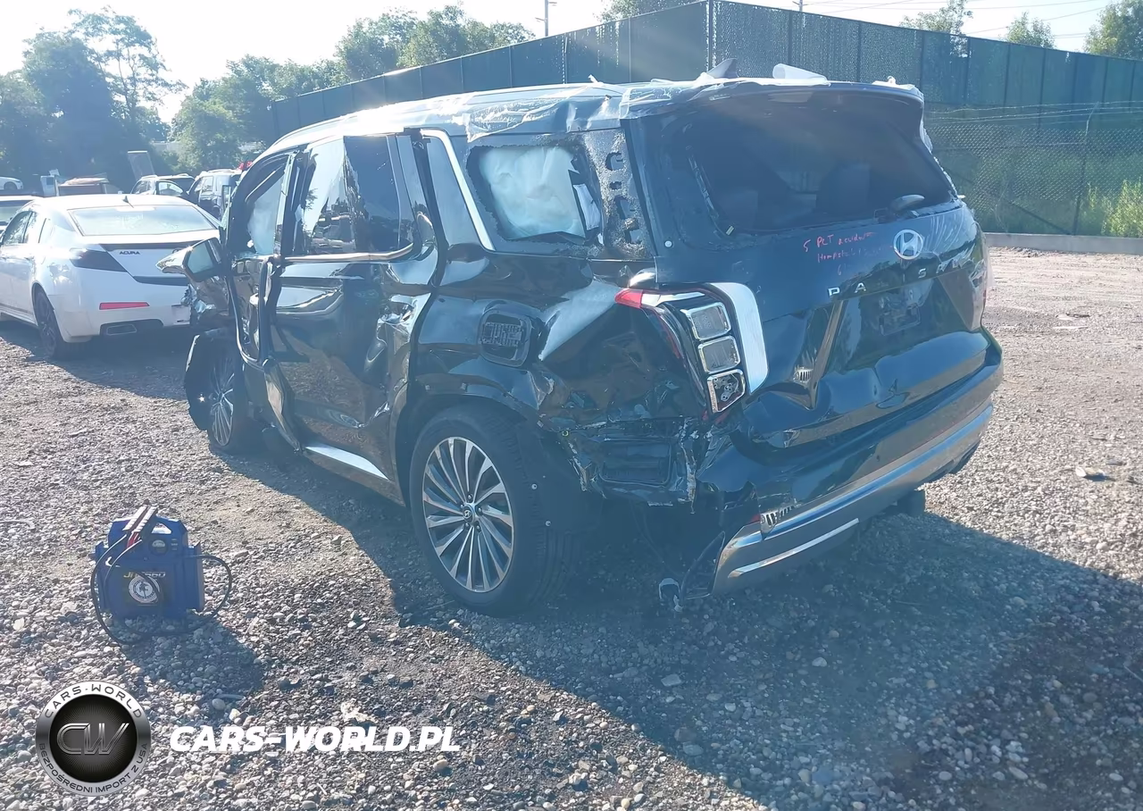 2025 Hyundai Palisade Calligraphy VIN:KM8R7DGE1SU882802 - 3
