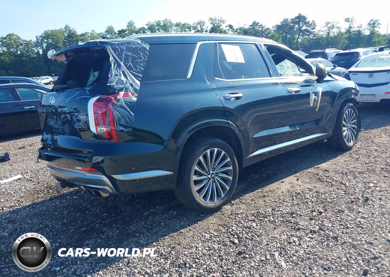 2025 Hyundai Palisade Calligraphy VIN:KM8R7DGE1SU882802 - 4