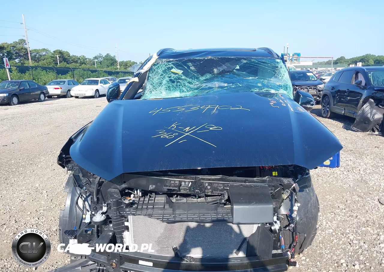 2025 Hyundai Palisade Calligraphy VIN:KM8R7DGE1SU882802 - 6