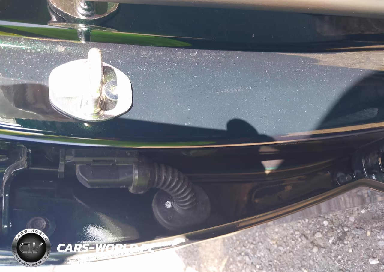 2025 Hyundai Palisade Calligraphy VIN:KM8R7DGE1SU882802 - 9