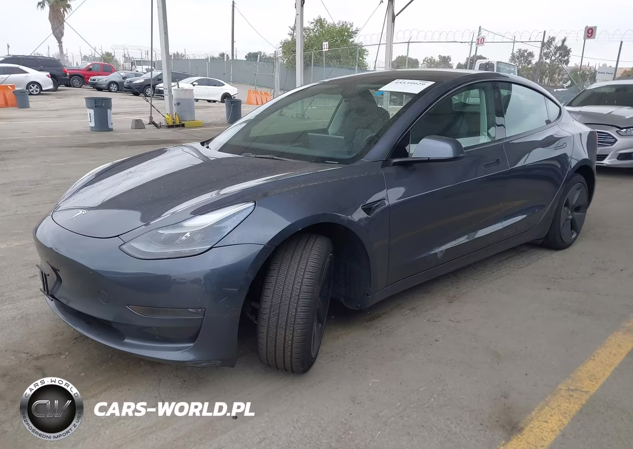 2023 Tesla Model 3 Rear-Wheel Drive VIN:5YJ3E1EA8PF584830 - 2