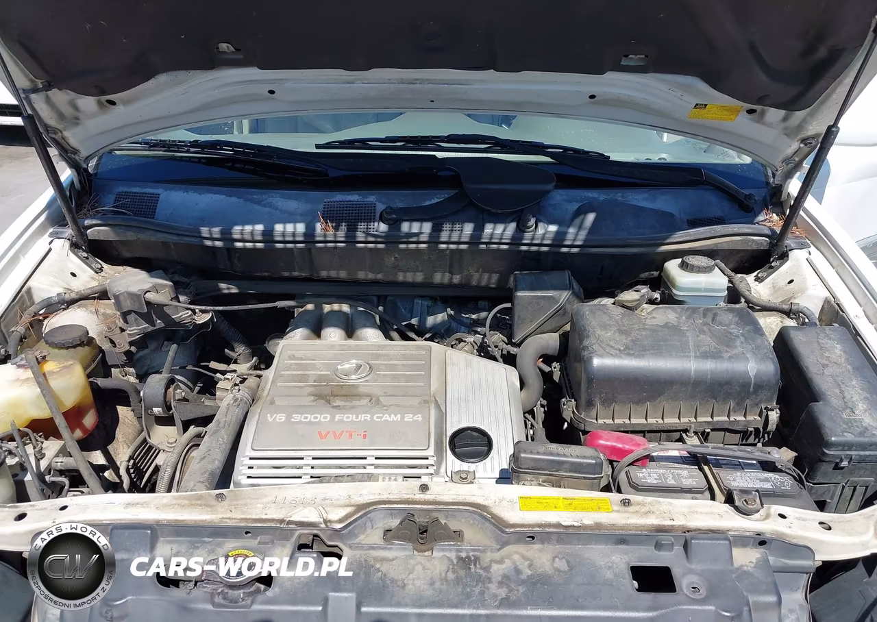 2001 Lexus Rx 300 VIN:JTJGF10U810115885 - 10