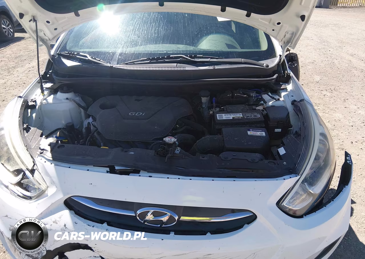 2016 Hyundai Accent Se VIN:KMHCT4AE3GU113395 - 10