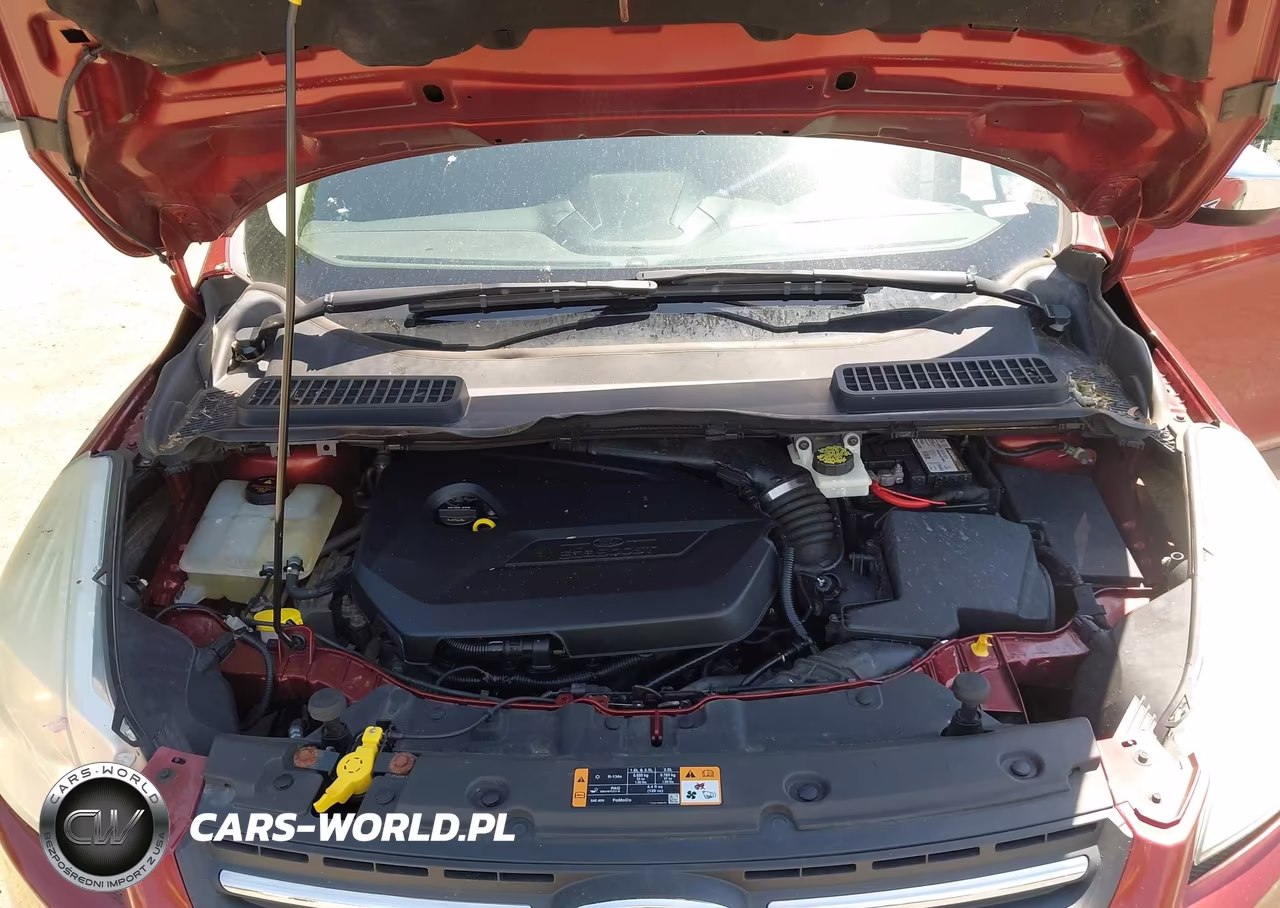 2014 Ford Escape Se VIN:1FMCU0GX0EUD96060 - 10