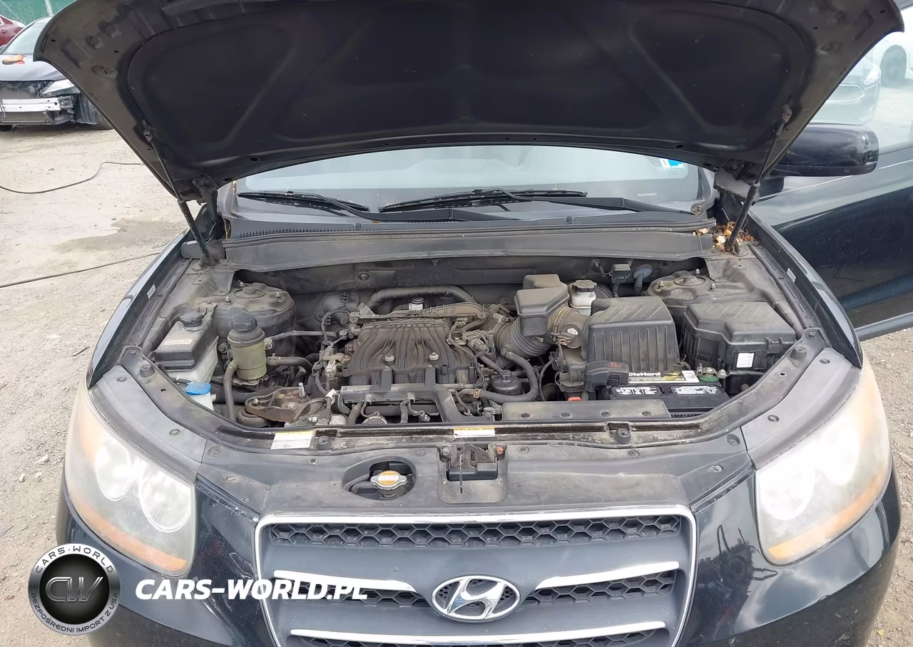2009 Hyundai Santa Fe Limited VIN:5NMSH13E79H331590 - 10
