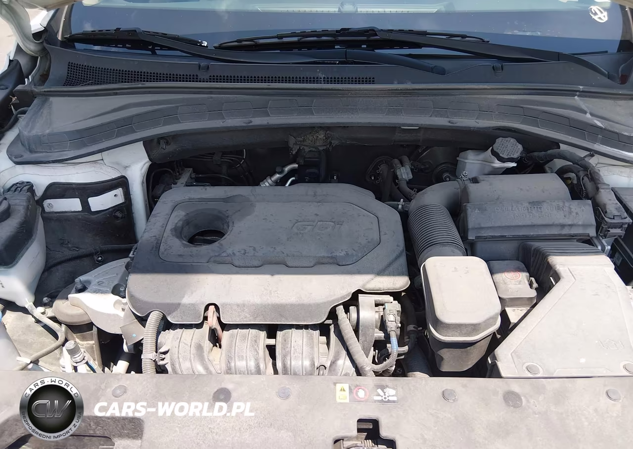 2019 Hyundai Santa Fe Se VIN:5NMS23AD0KH018782 - 10