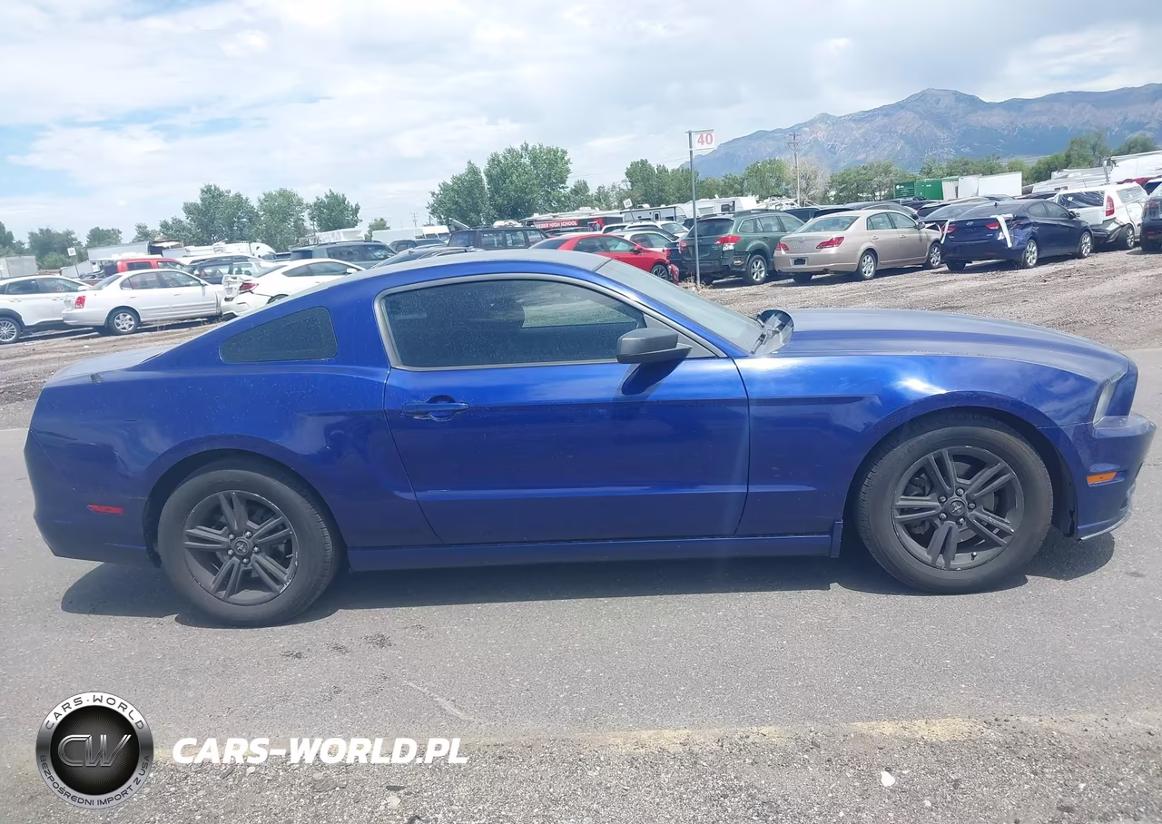 2014 Ford Mustang V6 VIN:1ZVBP8AM8E5313731 - 13