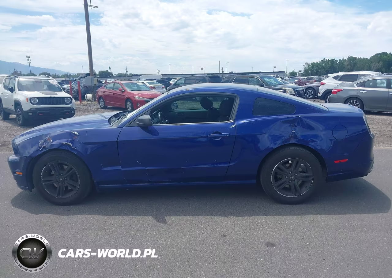 2014 Ford Mustang V6 VIN:1ZVBP8AM8E5313731 - 14