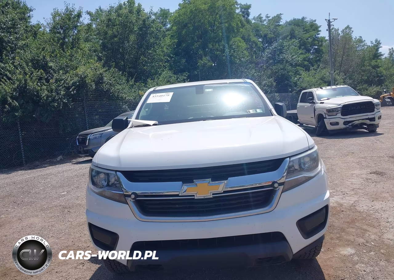 2019 Chevrolet Colorado Wt VIN:1GCHTBEN6K1343614 - 13