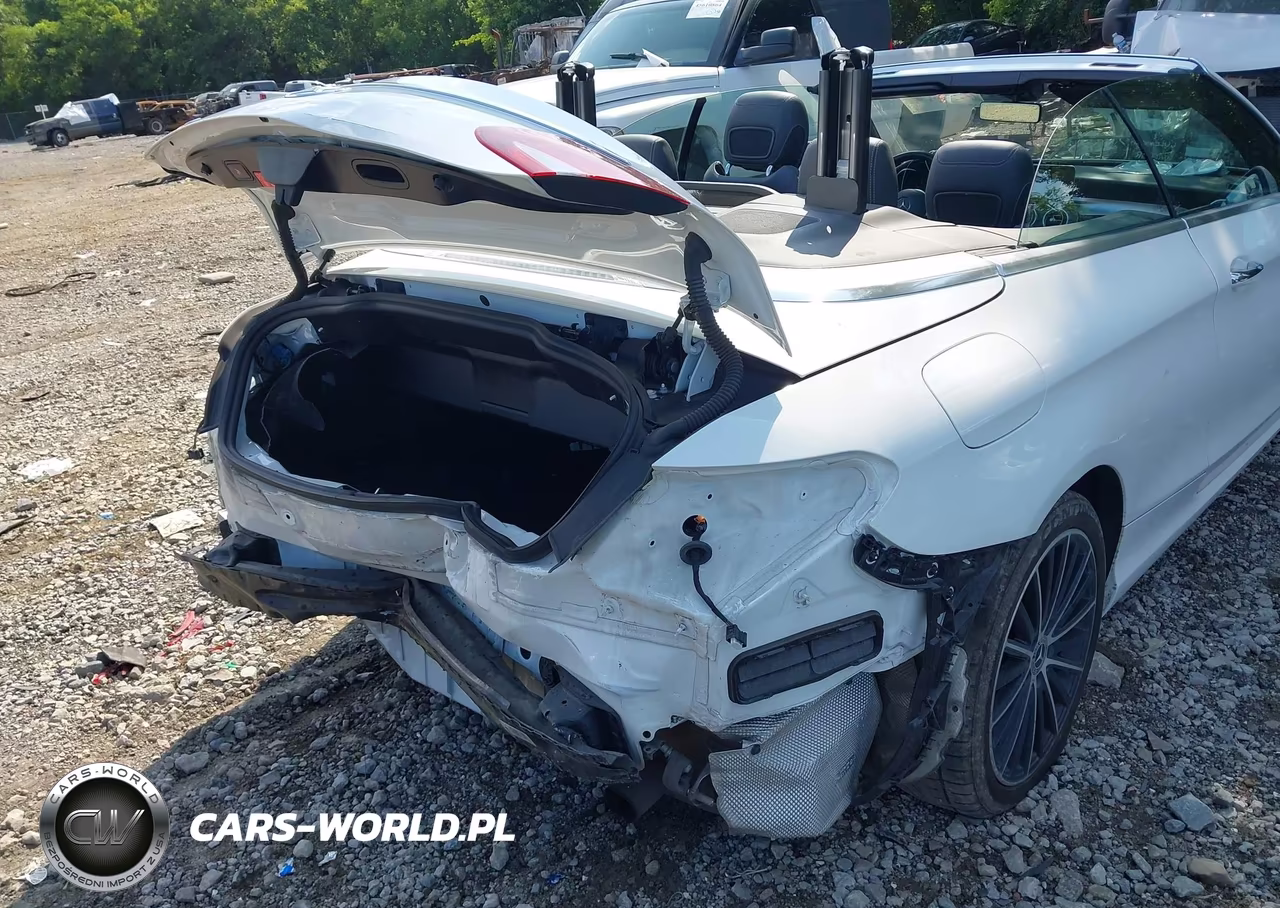 2020 Mercedes-Benz C 300 VIN:W1KWK8DBXLF989852 - 22