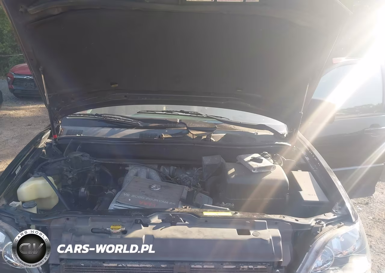 2000 Lexus Rx 300 VIN:JT6HF10U3Y0105077 - 10