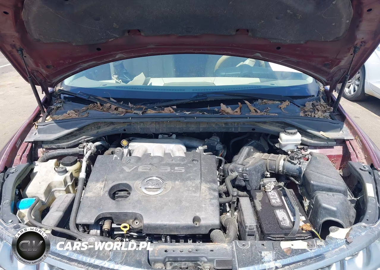 2007 Nissan Murano Sl VIN:JN8AZ08T67W507618 - 10