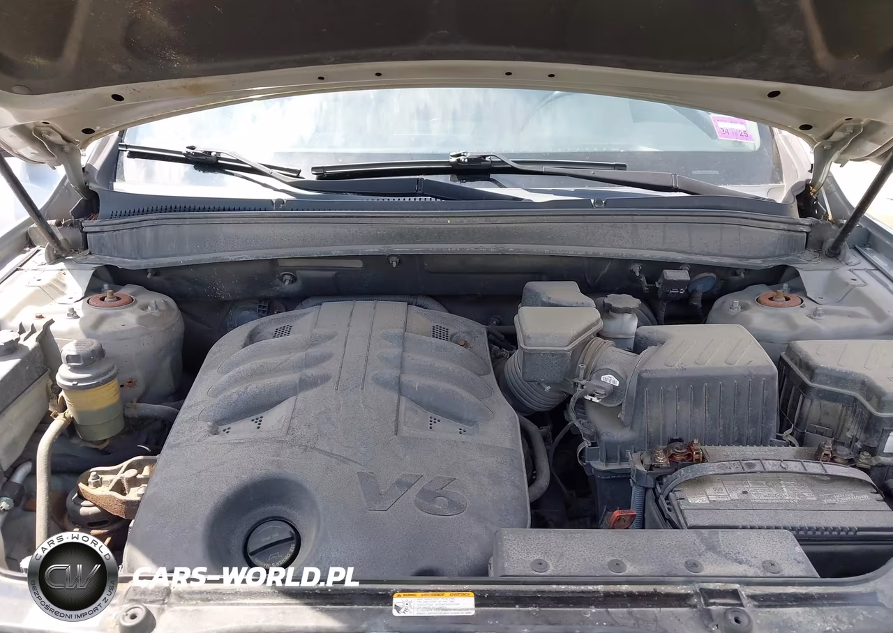 2009 Hyundai Santa Fe Se VIN:5NMSH13E69H322041 - 10