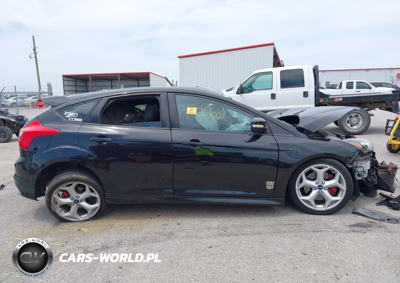 2014 Ford Focus St VIN:1FADP3L95EL123295 - 14