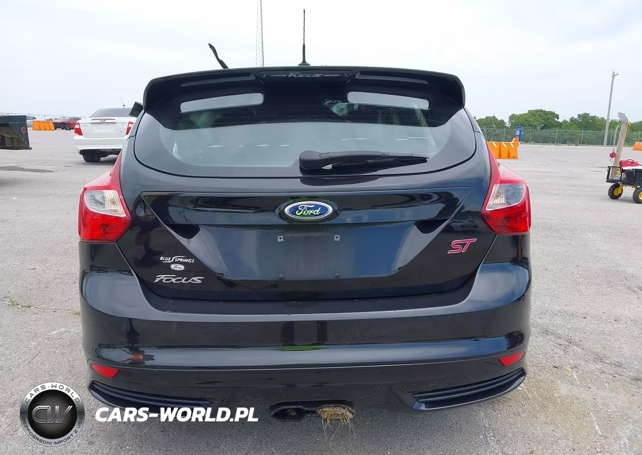 2014 Ford Focus St VIN:1FADP3L95EL123295 - 17