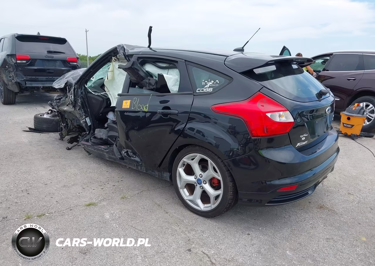 2014 Ford Focus St VIN:1FADP3L95EL123295 - 3