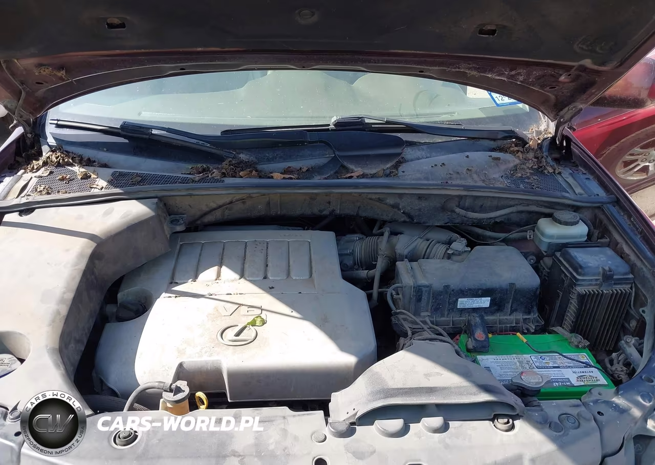2008 Lexus Rx 350 VIN:JTJGK31U180011819 - 10