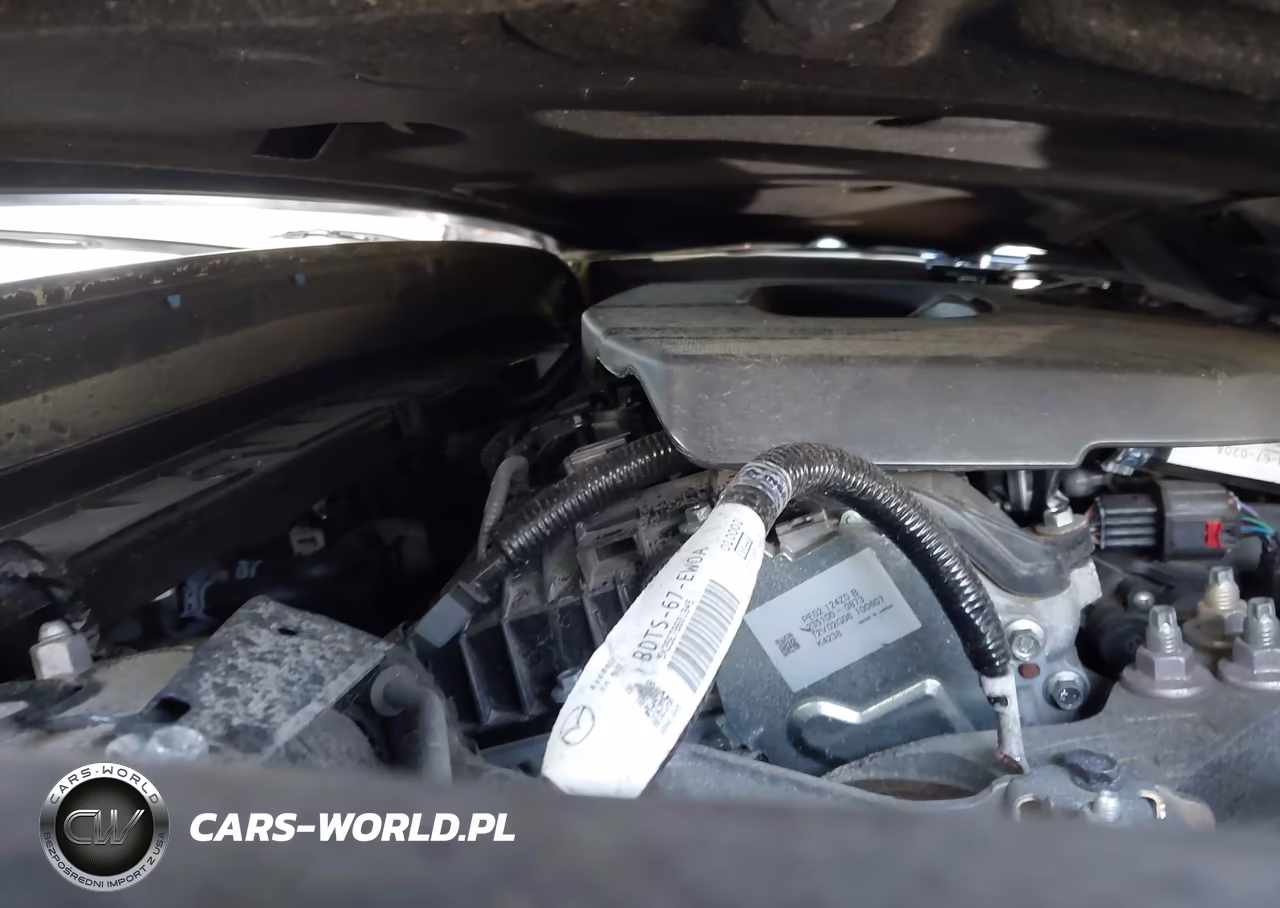 2023 Mazda Cx-30 2.5 S Preferred VIN:3MVDMBCM8PM553856 - 10