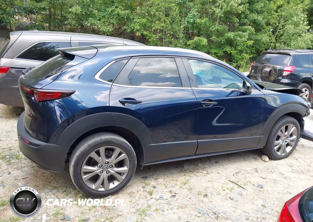 2023 Mazda Cx-30 2.5 S Preferred VIN:3MVDMBCM8PM553856 - 14