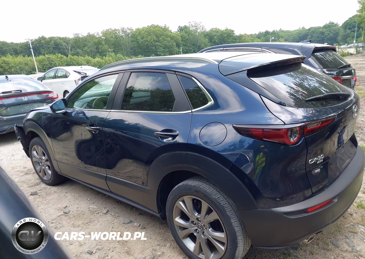 2023 Mazda Cx-30 2.5 S Preferred VIN:3MVDMBCM8PM553856 - 15