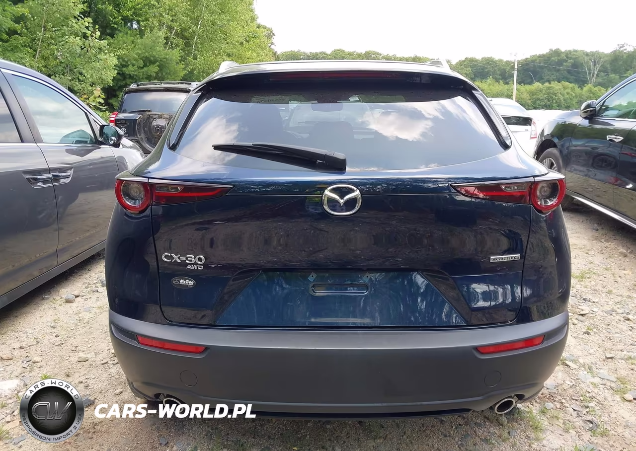2023 Mazda Cx-30 2.5 S Preferred VIN:3MVDMBCM8PM553856 - 17