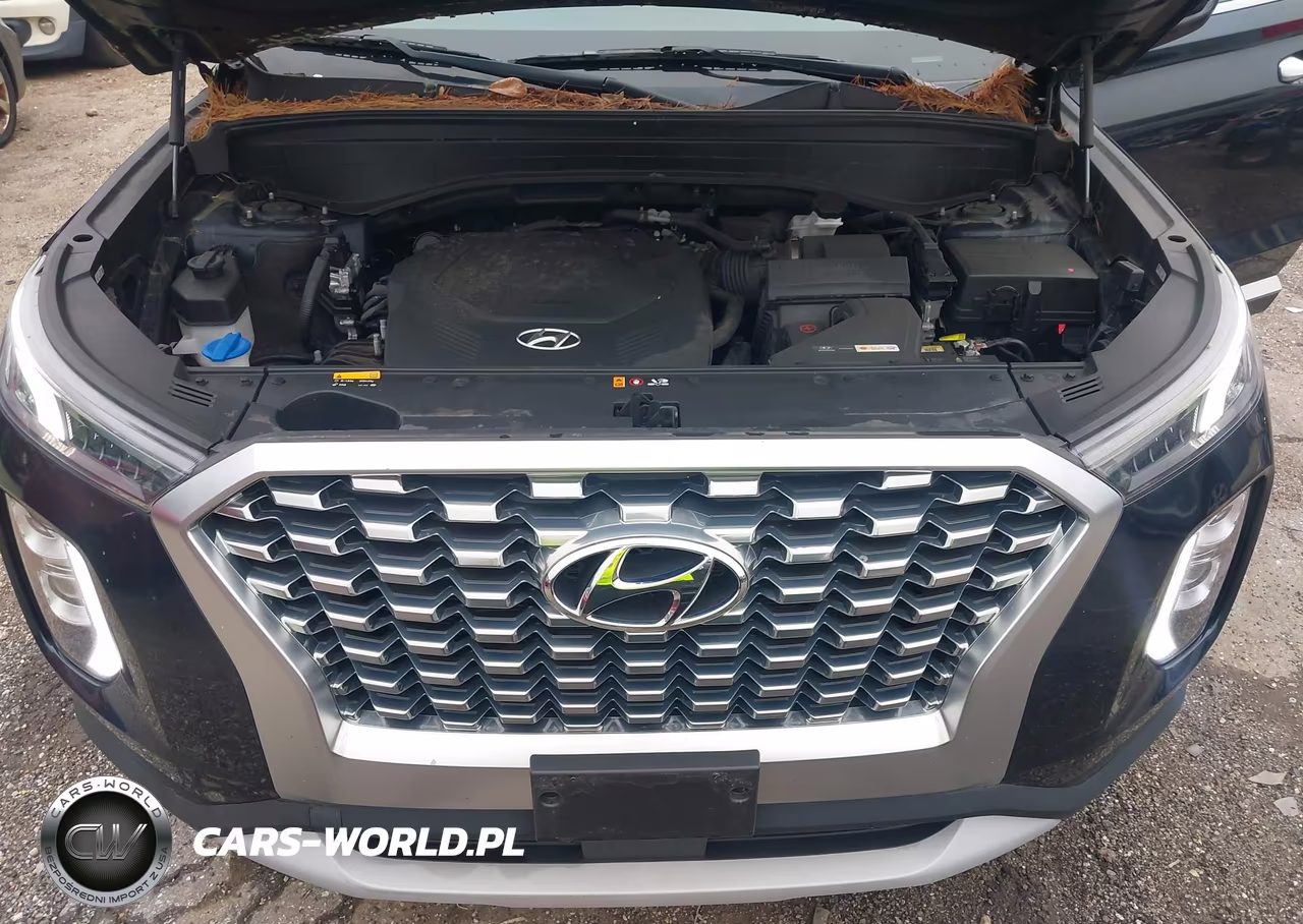 2020 Hyundai Palisade Sel VIN:KM8R2DHE0LU171428 - 10