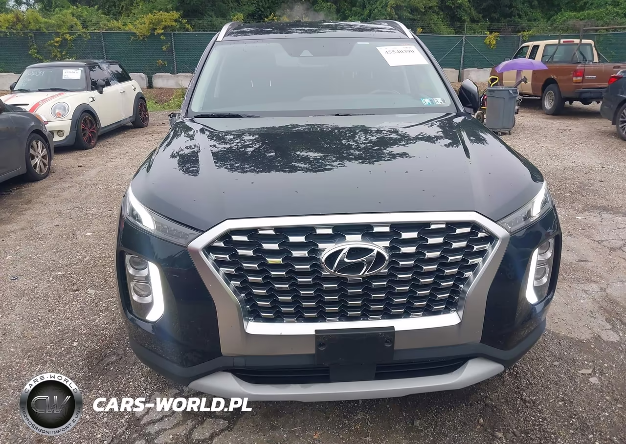 2020 Hyundai Palisade Sel VIN:KM8R2DHE0LU171428 - 12