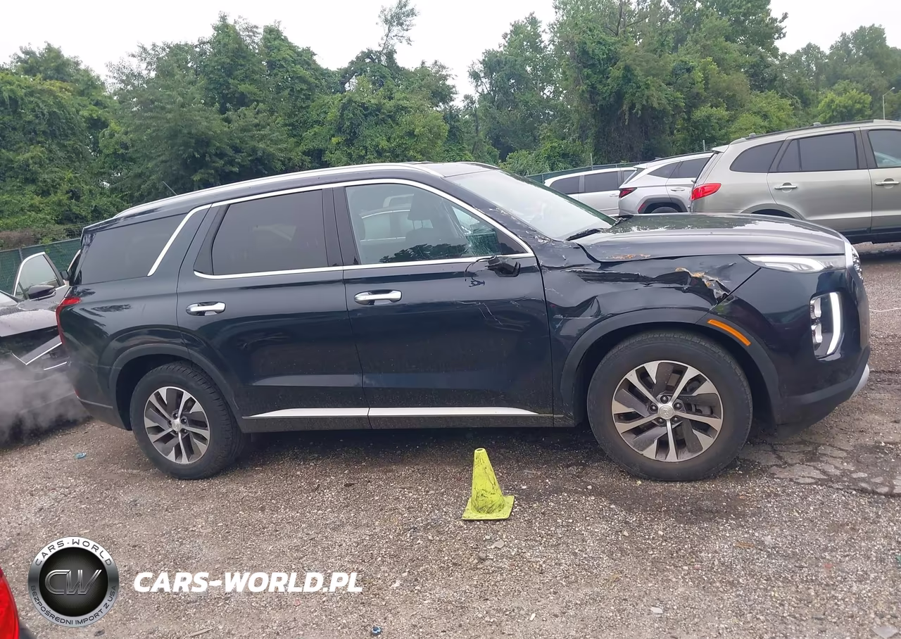 2020 Hyundai Palisade Sel VIN:KM8R2DHE0LU171428 - 13