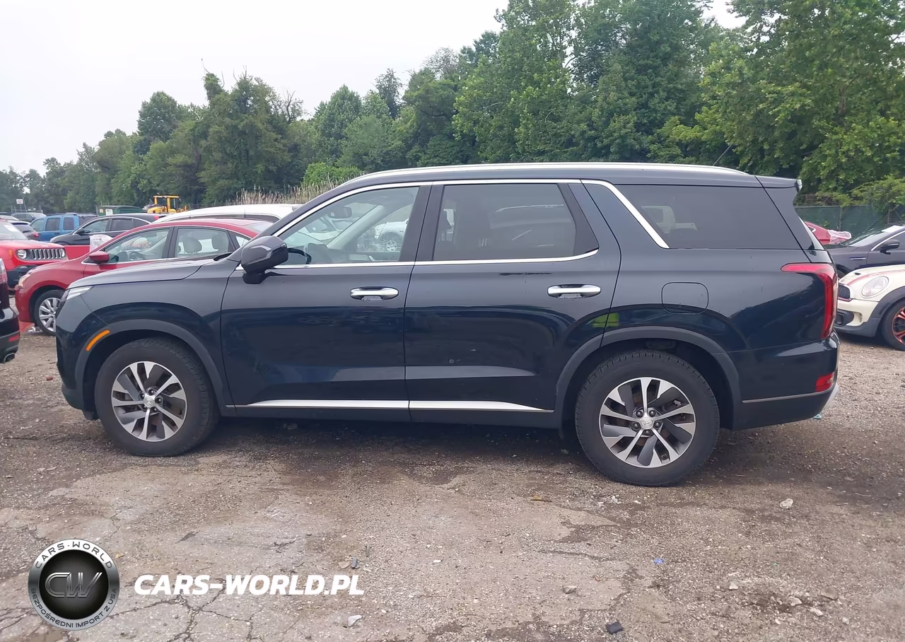 2020 Hyundai Palisade Sel VIN:KM8R2DHE0LU171428 - 14