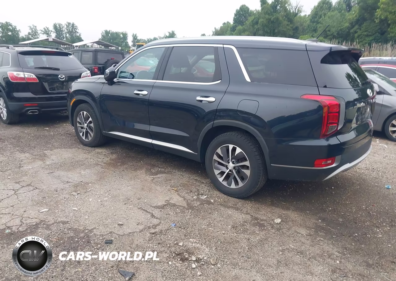 2020 Hyundai Palisade Sel VIN:KM8R2DHE0LU171428 - 3