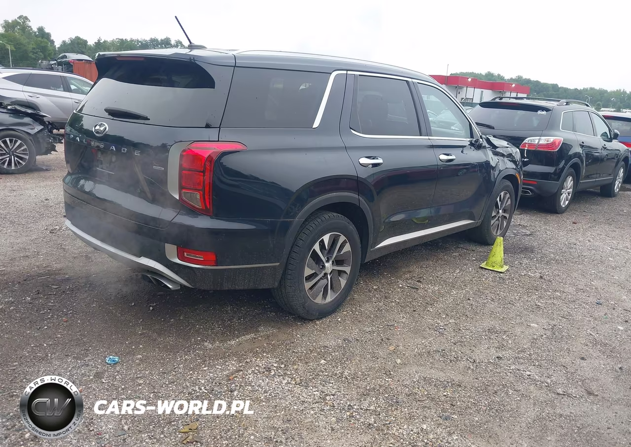 2020 Hyundai Palisade Sel VIN:KM8R2DHE0LU171428 - 4